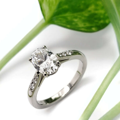 Oval lab-grown diamond engagement ring in white gold with pave band, shown with plant