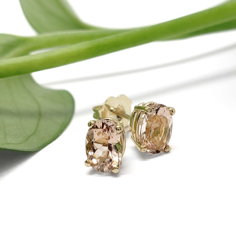 Oval morganite stud earrings in 10kt yellow gold displayed with a green leaf