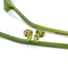 Oval green peridot stud earrings in 14kt yellow gold shown with green stems