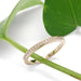 Pave-set Canadian diamond wedding ring in 14kt yellow gold beside a green leaf