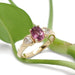 Pink sapphire and lab diamond engagement ring in yellow gold, shown with green leaves