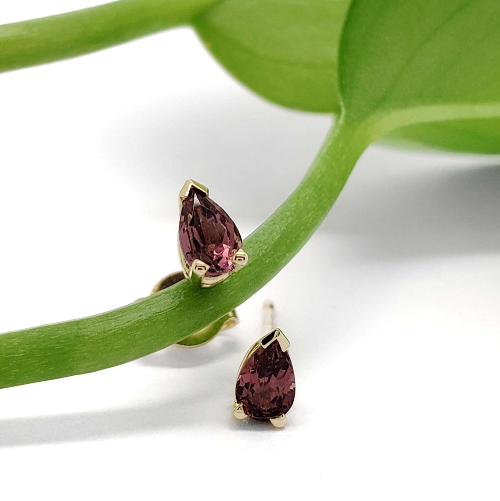 Pear cut pink tourmaline studs in 14kt yellow gold displayed on a green stem