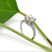 Platinum lab diamond engagement ring with engraved band, shown with a green leaf