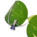 Platinum trilliant tanzanite pendant displayed on a green leaf, chain visible