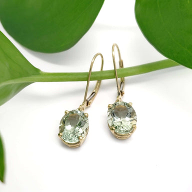 Prasiolite dangle earrings in 14kt yellow gold displayed on a green plant stem