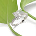 Radiant cut lab diamond engagement ring in 14kt white gold with pave band, beside green leaf