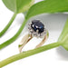 Sapphire and diamond halo ring in yellow and white gold with green leaves background