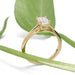 Side view of 14kt yellow gold emerald cut lab diamond ring with plant background