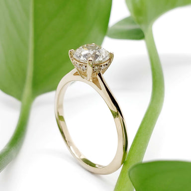 Side view of 14kt yellow gold lab diamond engagement ring with hidden halo, among green leaves