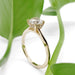 Side view of 14kt yellow gold lab diamond engagement ring with hidden halo, among green leaves