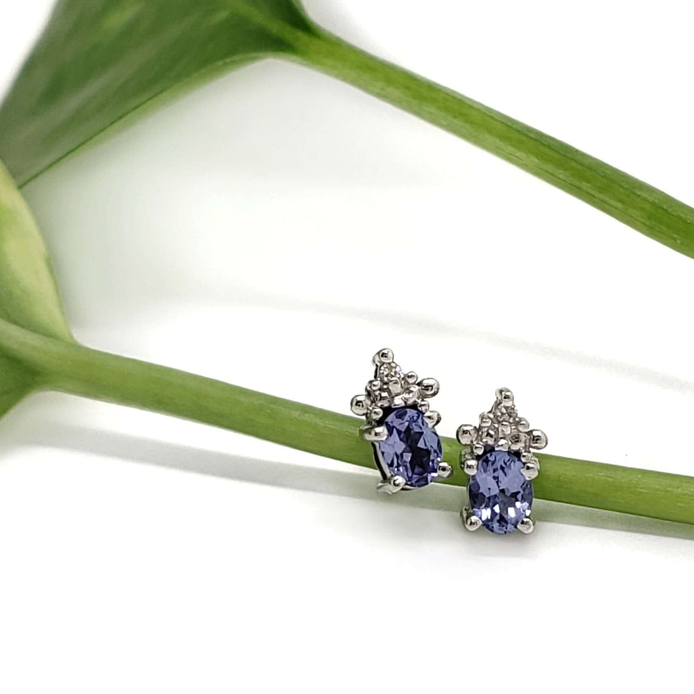 Tanzanite and diamond 10kt white gold stud earrings displayed on a green stem