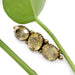 Three-stone citrine and yellow gold brooch displayed with green leaf