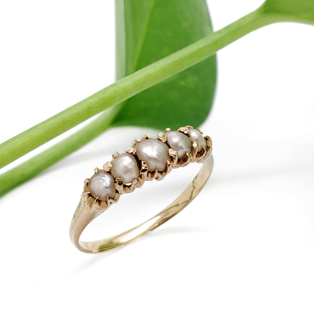 Vintage 15kt yellow gold ring with five seed pearls, shown beside green leaf