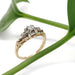 Vintage diamond ring in yellow and white gold displayed with green leaf