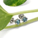 Blue zircon stud earrings in white gold resting on a green plant stem