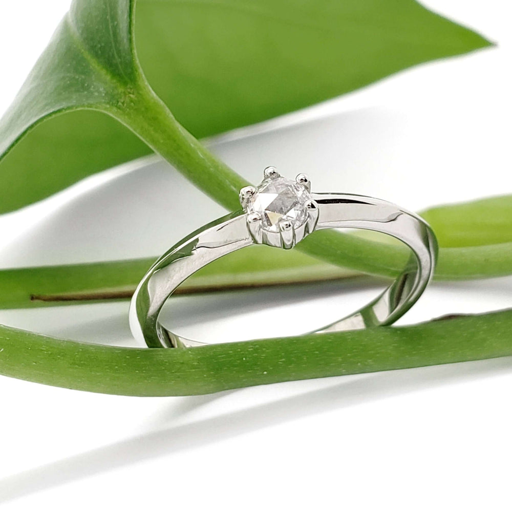 White gold rose cut diamond ring displayed on green leaves