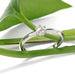 White gold rose cut diamond ring displayed on green leaves