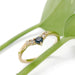 Yellow gold Montana sapphire and diamond ring displayed on green leaves