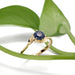 Yellow gold Montana sapphire ring with leaf motif, styled with green plant