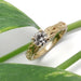 Yellow gold lab diamond engagement ring with intricate interlaced band, shown with green leaf
