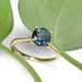 Yellow gold ring with teal Australian sapphire displayed on green leaves