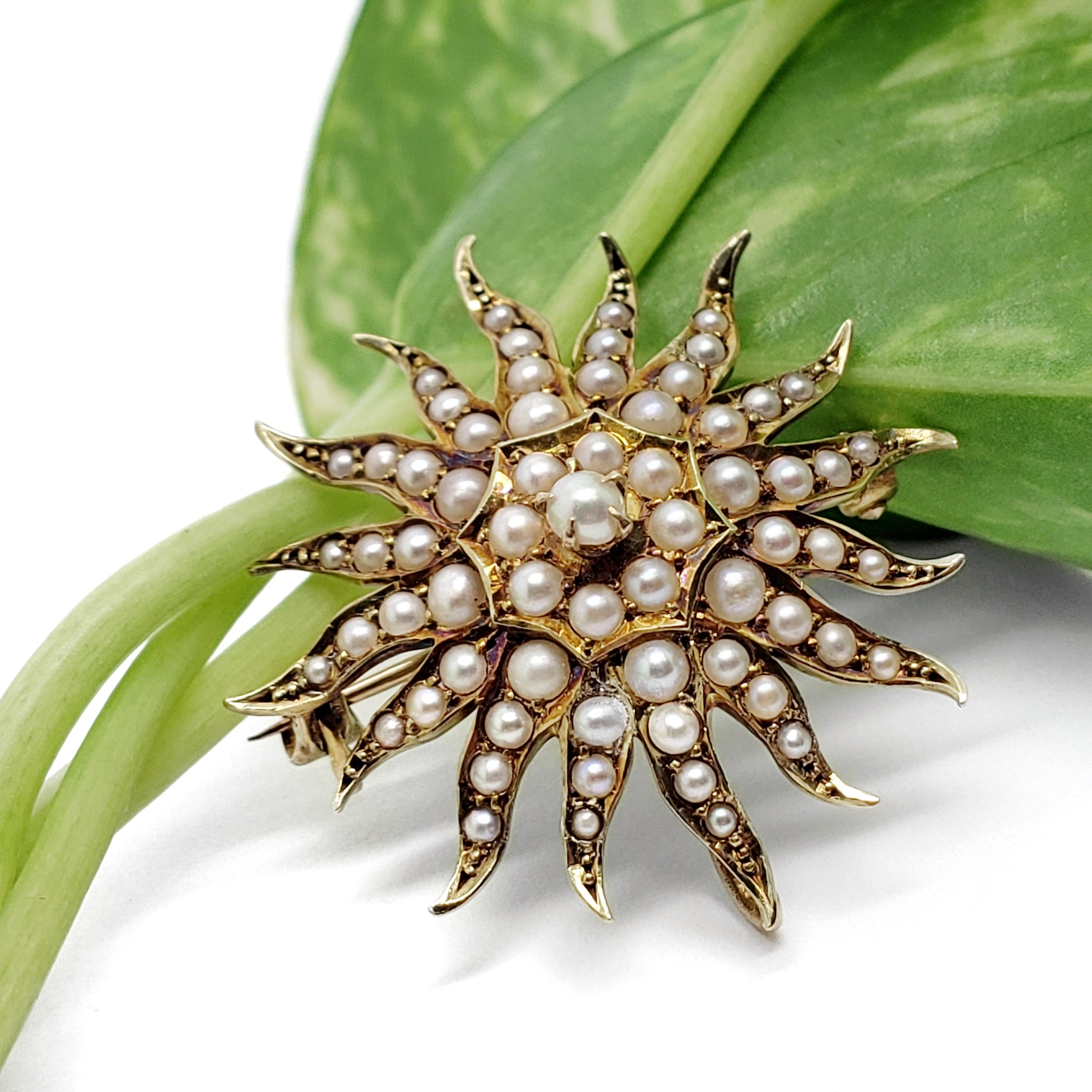 Edwardian Seed Pearl Pendant-Brooch | Era Design Vancouver Canada